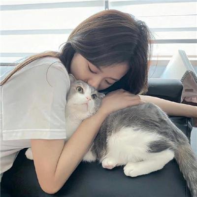 犬舍惊魂