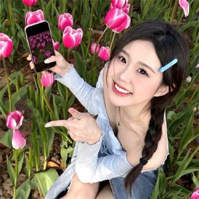 梦之森林